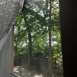Borisz Apartmán *