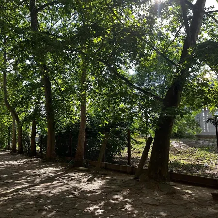 Borisz Apartmán Makó